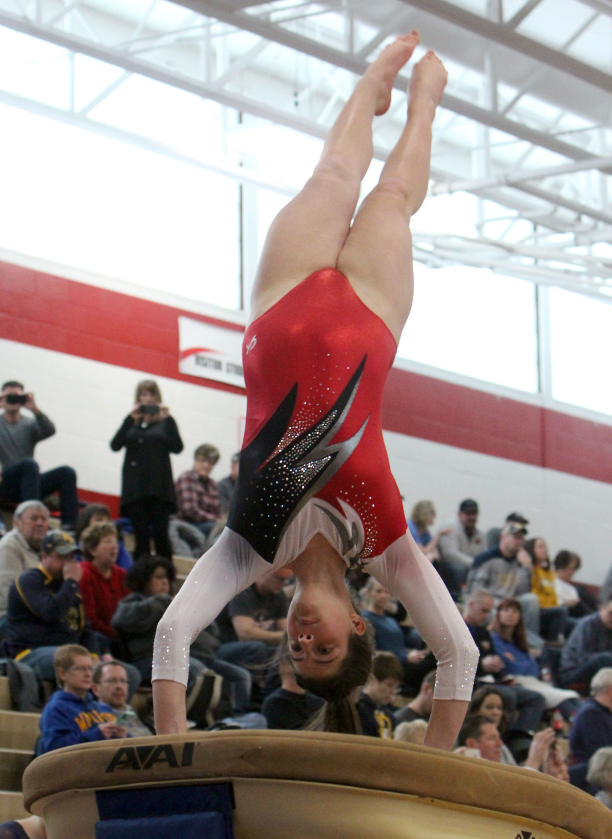 Big Rivers Conference Gymnastics Meet at Chippewa Falls 2-16-19